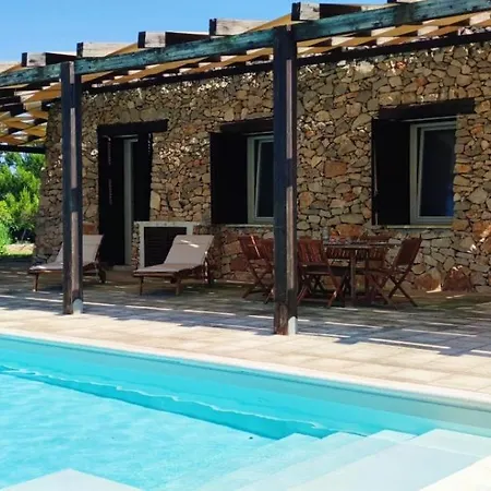 Leonida Villa *